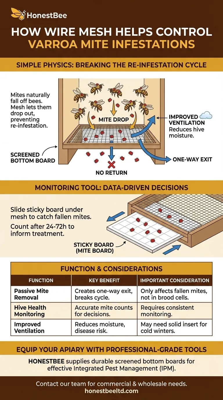 철망은 어떻게 꿀벌응애 감염을 통제하는 데 도움이 될까요? 현대 양봉의 핵심 도구 시각적 가이드