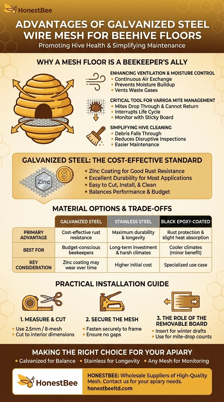 What are the advantages of galvanized steel wire mesh for a beehive floor? Boost Hive Health & Mite Control Visual Guide