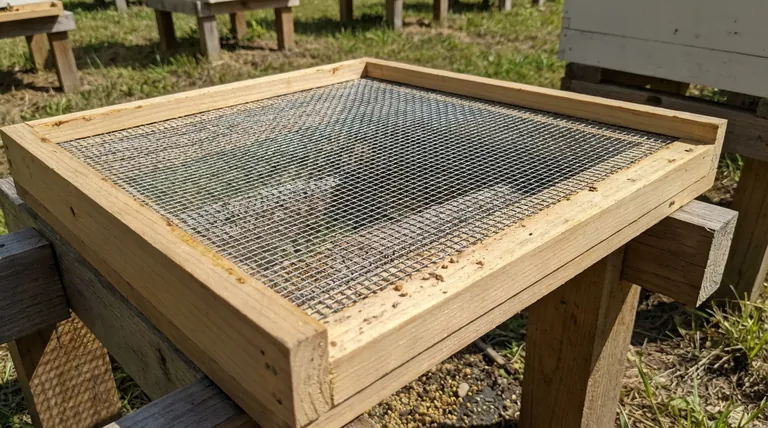What are the advantages of galvanized steel wire mesh for a beehive floor? Boost Hive Health & Mite Control