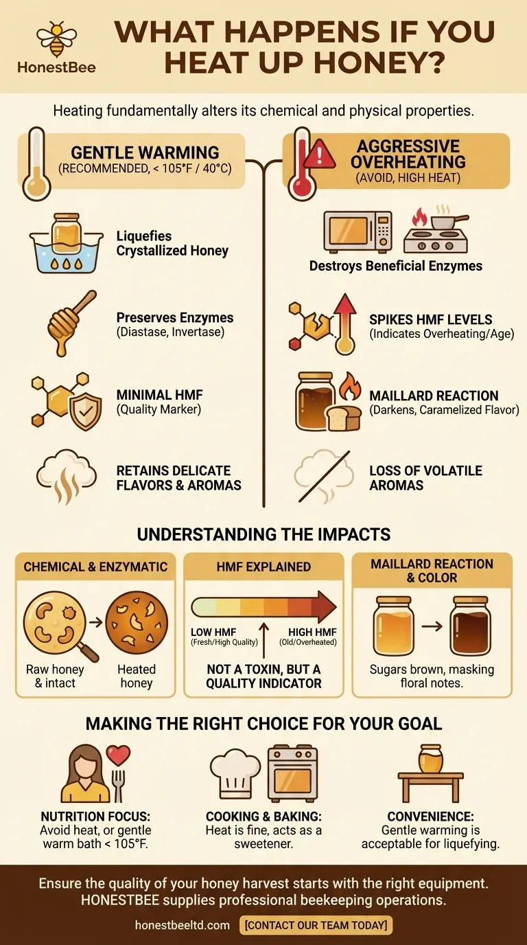 What happens if you heat up honey? The Impact on Enzymes, Flavor, and Quality Visual Guide
