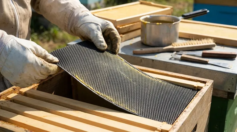 如何安装塑料巢础板?确保蜜蜂接受的关键在于正确的打蜡。