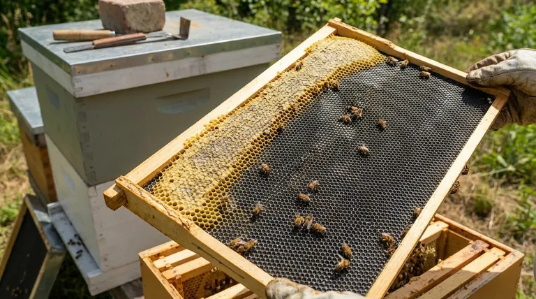 ¿Cuáles son las ventajas de usar láminas de cera estampada de plástico sobre la cera de abeja? Duraderas, reutilizables y resistentes a las plagas