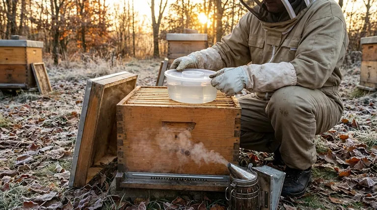 겨울 준비 기간 동안 꿀벌에게 먹이를 주는 것이 왜 중요한가요? 군집 생존 및 봄 생산성 보장