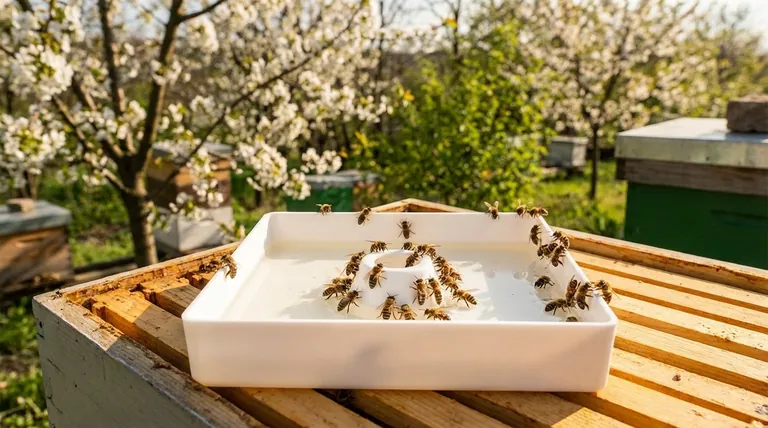 What is the purpose of using sugar syrup after winter? Accelerate Hive Growth for the Honey Flow