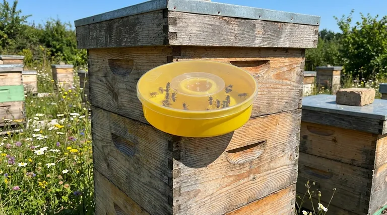 상단 급수기(top feeder)란 무엇이며, 그 장점은 무엇인가요? 고용량 급식으로 양봉장 효율을 높이세요