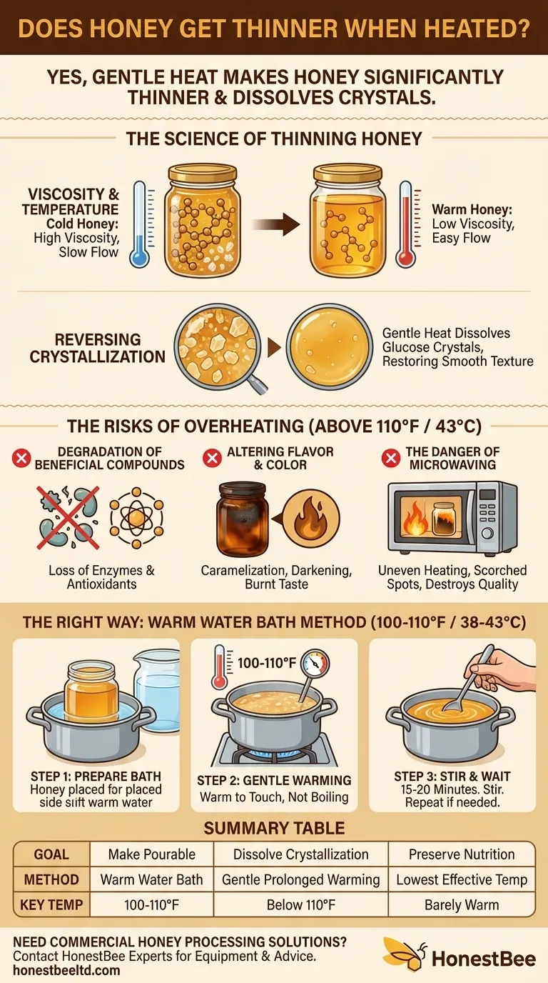 Does honey get thinner when heated? How to Safely Restore Its Liquid State Visual Guide