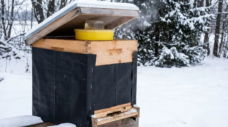 겨울 동안 벌통 생존율을 높이기 위한 실행 가능한 조치는 무엇인가요? 건조하고 먹이가 충분한 벌통 가이드