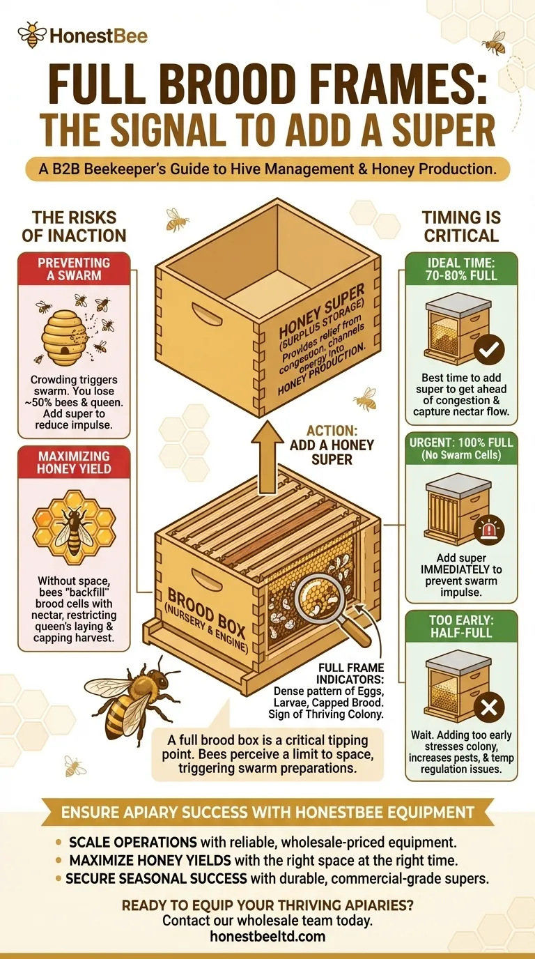 What does it mean if brood frames are full? The Key Signal to Add a Super and Prevent Swarming Visual Guide