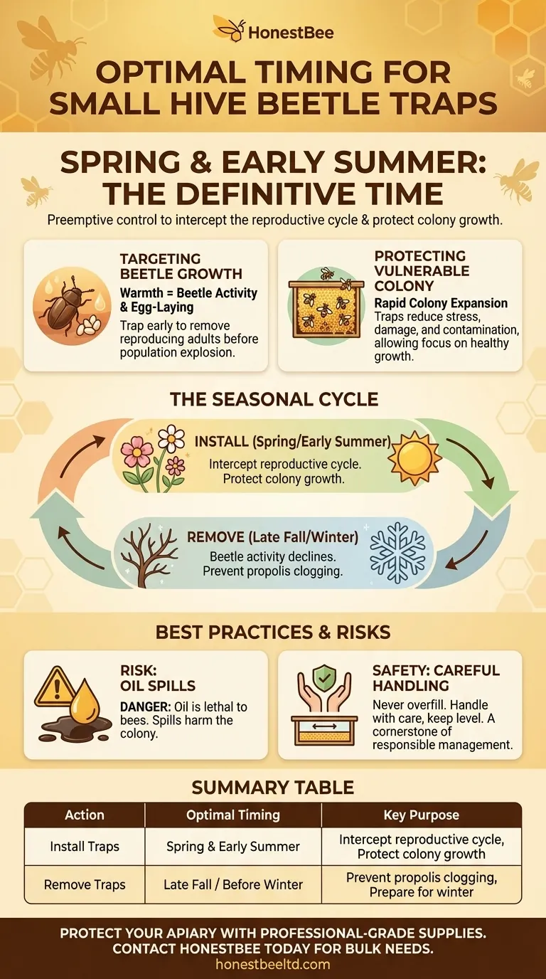 What is the best time to use beetle traps? Master the Spring Strategy for Effective Hive Protection Visual Guide