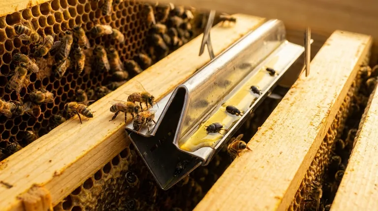 Quelle est la fonction principale des Beetle Blasters ? Contrôler efficacement les petits coléoptères des ruches