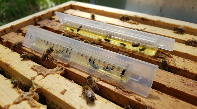 Comment les pièges à coléoptères (Beetle Blasters) capturent-ils les coléoptères adultes ? Une solution simple et non chimique de lutte antiparasitaire