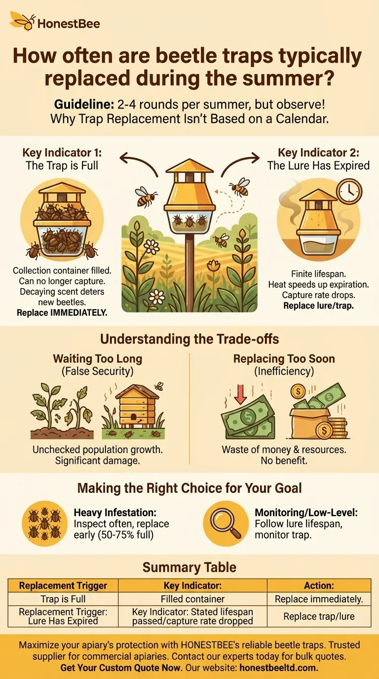 ¿Con qué frecuencia se suelen reemplazar las trampas para escarabajos durante el verano? Optimice su estrategia de reemplazo de trampas Guía Visual