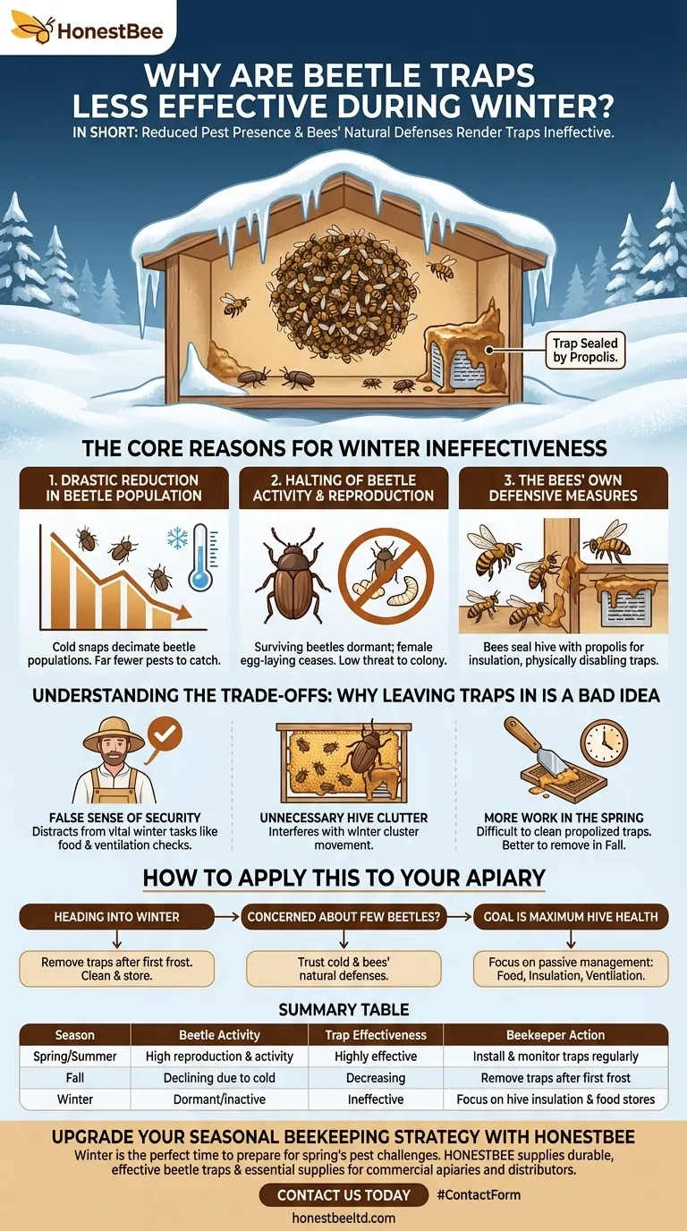겨울철 딱정벌레 덫의 효과가 떨어지는 이유는 무엇인가요? 해충 방제에 대한 계절적 변화 설명 시각적 가이드