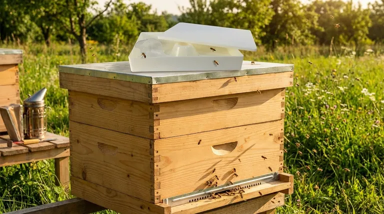 벌통의 구조와 상부 구조의 차이점은 무엇인가요?필수 양봉 인사이트