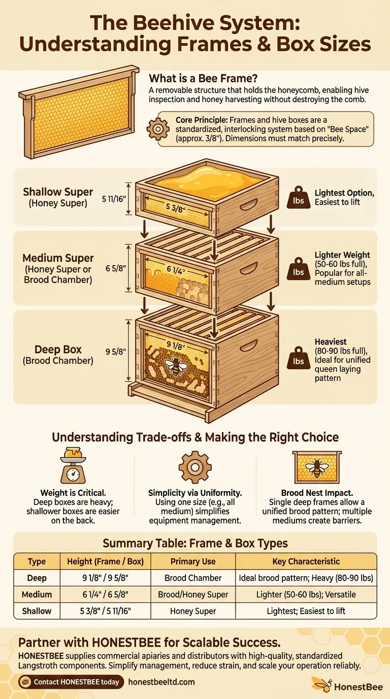 What are bee frames, and how do they relate to box sizes? A Guide to the Langstroth Hive System Visual Guide