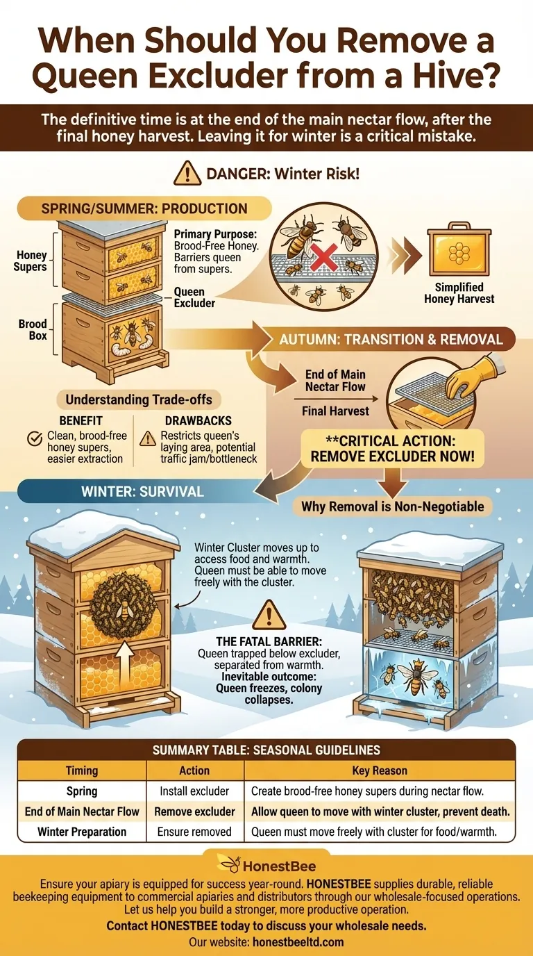 When should you remove a queen excluder from a hive? Protect Your Colony's Winter Survival Visual Guide