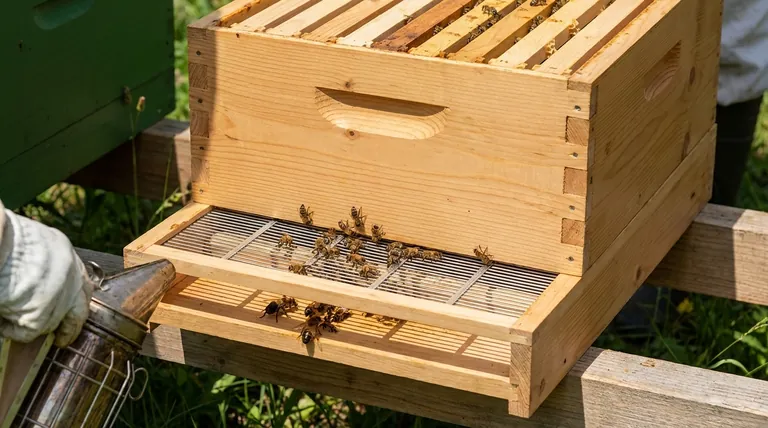 여왕벌 격리기를 어떻게 벌떼 이탈 방지에 사용할 수 있을까요? 결함 있는 양봉 전략에 대한 비판적 고찰