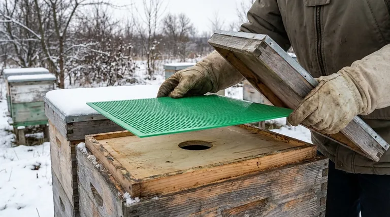 What is the advantage of storing queen excluders on the hive over winter? Maximize Beekeeper Efficiency