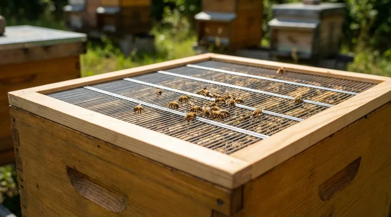 What is a queen excluder and what is its primary purpose? A Guide to Hive Management
