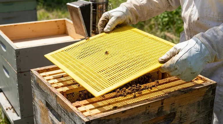 How should a queen excluder be installed in a beehive? Ensure a Brood-Free Honey Harvest