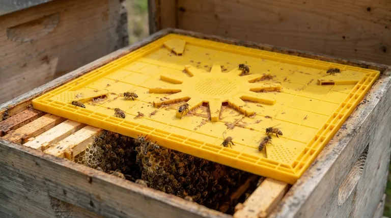 Como o escape de abelhas (bee escape board) direciona as abelhas para fora da colmeia? Uma Saída Gentil e de Sentido Único para a Colheita de Mel