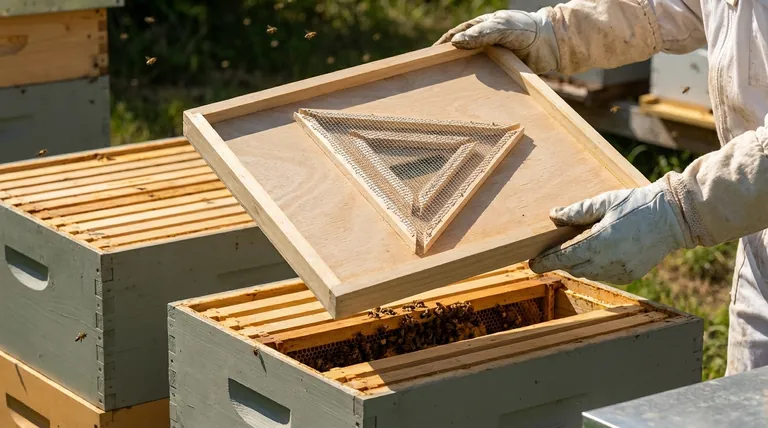 What are the different types of bee escape boards? Choose the Right One for a Stress-Free Honey Harvest