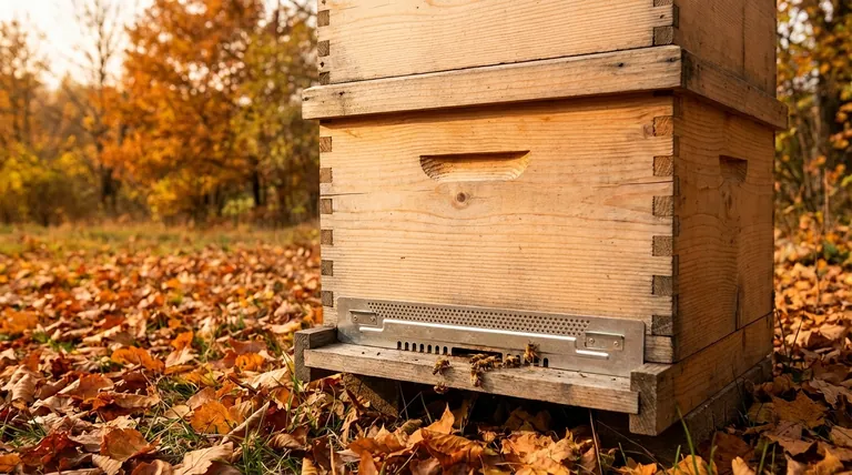 가을에 입구 좁히개(entrance reducer)가 중요한 이유는 무엇인가요? 겨울 생존을 위한 필수 벌통 방어