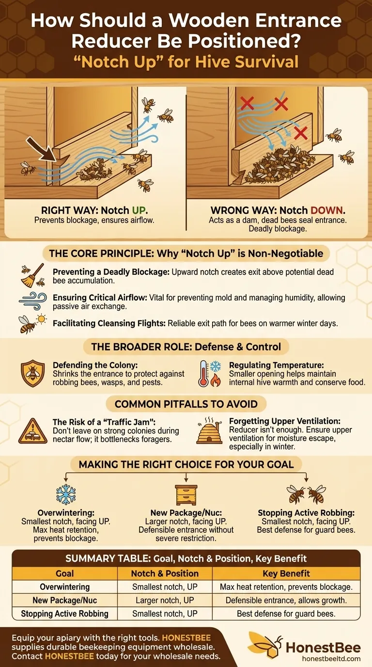 노치가 있는 목재 입구 축소기는 어떻게 배치해야 합니까? 올바른 배치를 통해 벌통의 생존을 보장하십시오. 시각적 가이드