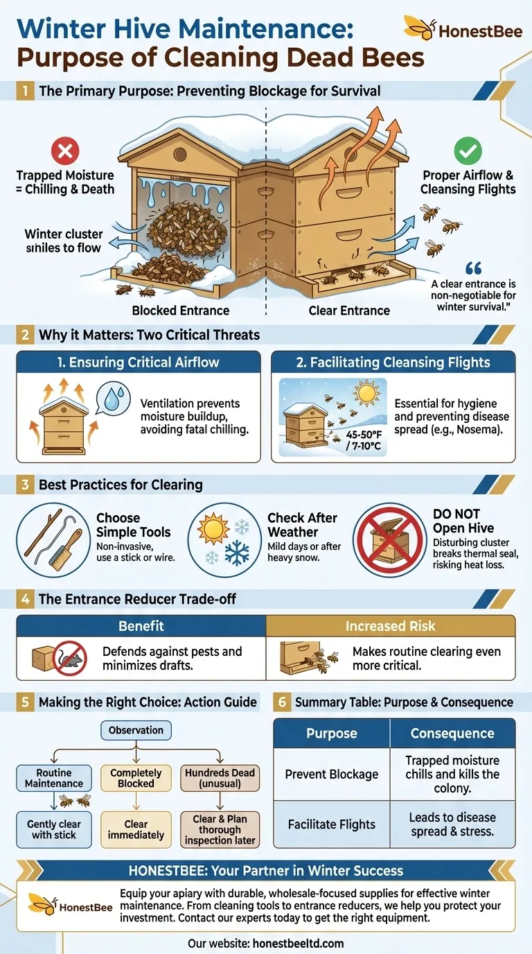 What is the purpose of cleaning dead bees from the hive entrance in winter? Prevent Colony Suffocation Visual Guide