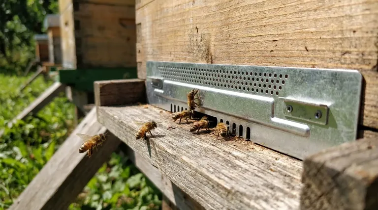양봉에서 입구 축소기의 주요 목적은 무엇입니까? 벌집을 위한 필수 방어책