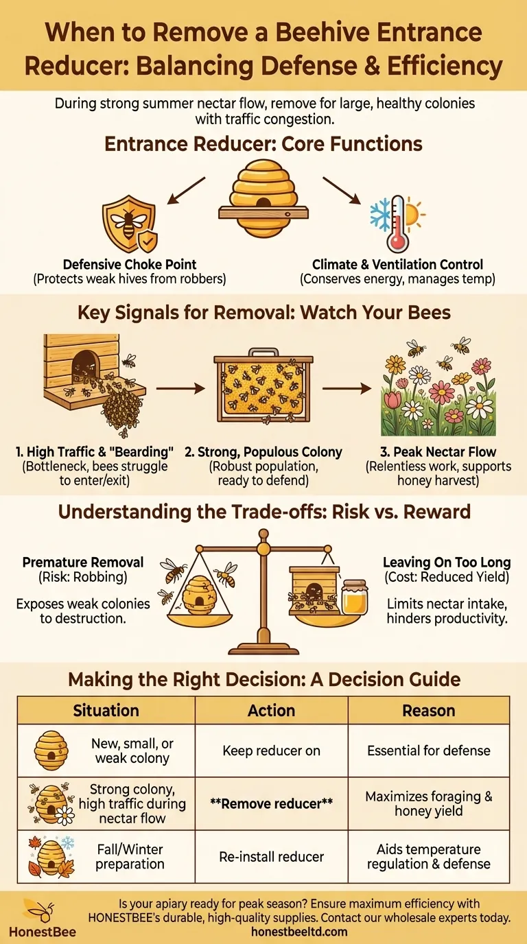 متى قد يزيل مربي النحل مخفض المدخل؟ لزيادة تدفق العسل في مستعمرة قوية دليل مرئي