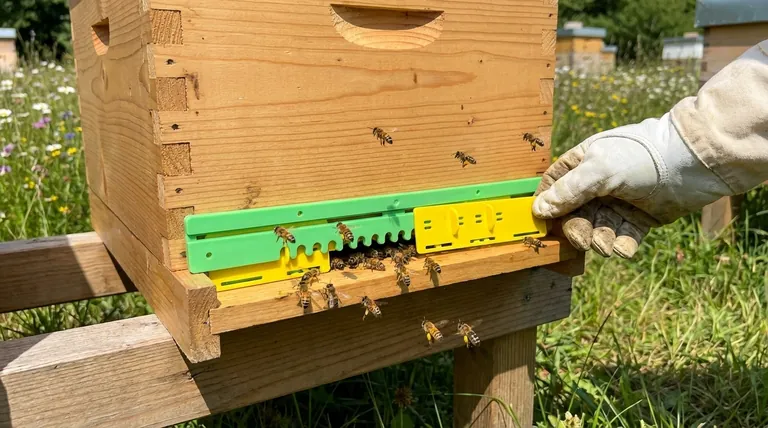 What are the benefits of a bottom entrance in a Langstroth hive? Enhance Hive Health & Beekeeper Efficiency