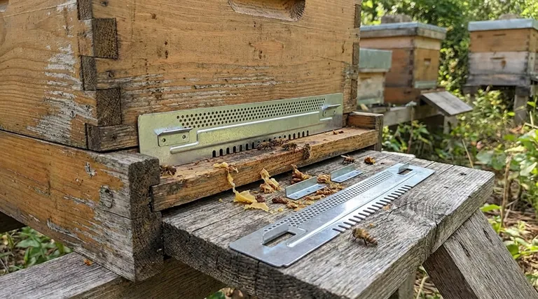 What are the key steps for installing and maintaining an entrance reducer? Master Seasonal Hive Management