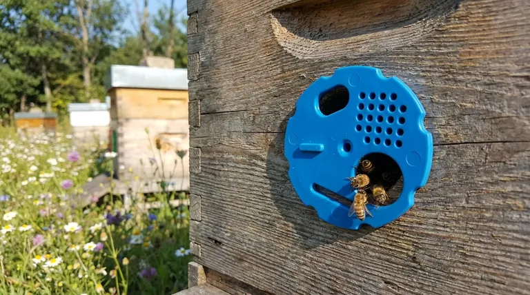 蜂箱入口盘式缩减器如何工作?养蜂人必备的蜂巢防御与管理