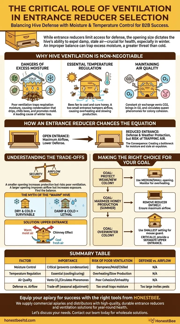 입구 축소기를 선택할 때 환기가 중요한 이유는 무엇입니까? 벌통의 건강과 생존을 보장하세요 시각적 가이드