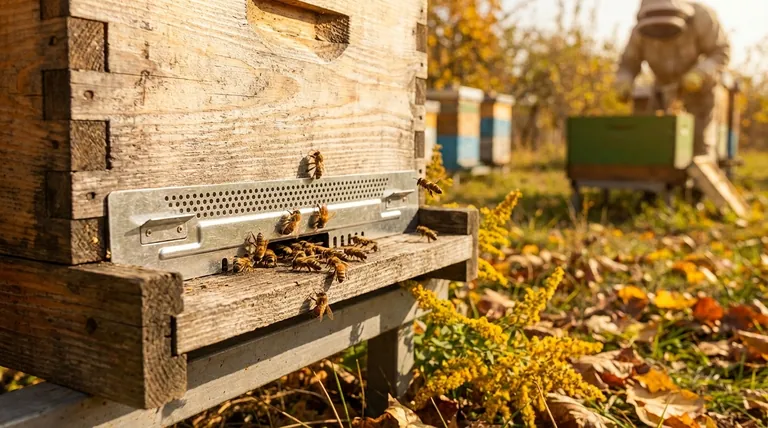 Que papel o tamanho da entrada desempenha na ventilação da colmeia? Controle Mestre do Clima da Colmeia