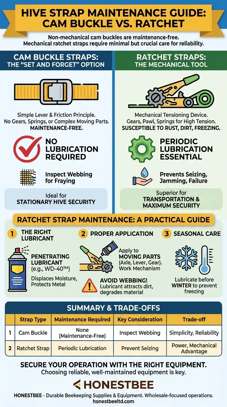 What maintenance is required for hive straps? A Guide to Cam Buckle vs. Ratchet Strap Care Visual Guide
