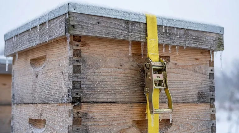 Why install ratchet straps below the hive top in freezing weather? Prevent a frozen, useless strap.