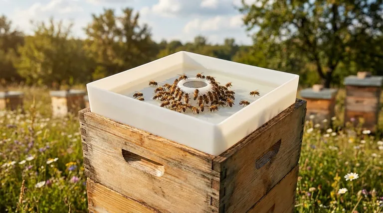 양봉에서 탑 피더(Top Feeder)란 무엇인가요? 고용량 먹이 공급을 위한 전략적 도구