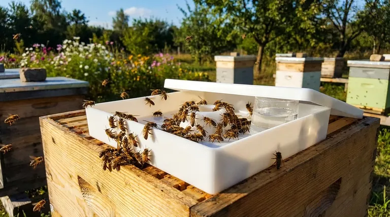 Why is a top feeder essential for bees? Ensure Colony Health and Efficiency