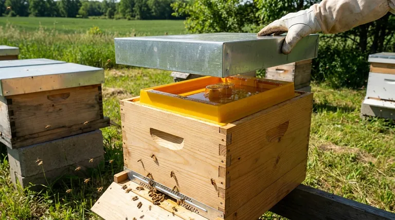 How does a top feeder protect syrup from sunlight? Shielding Medication and Feed for Healthier Hives