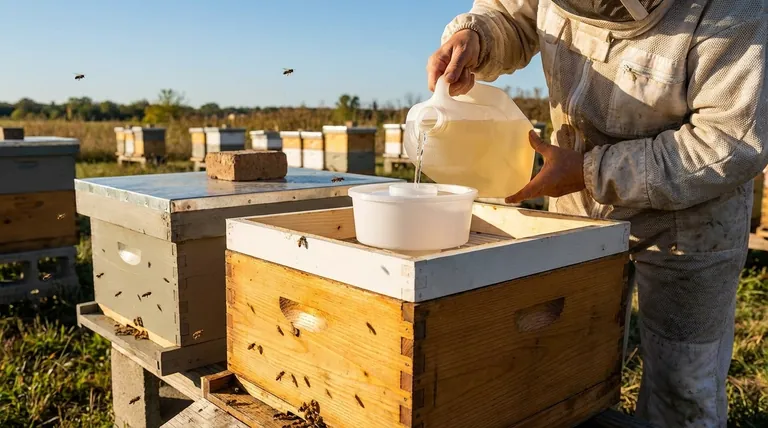 Pourquoi un nourrisseur de toit est-il considéré comme moins invasif pour les abeilles ? Un guide pour une gestion de ruche sans stress