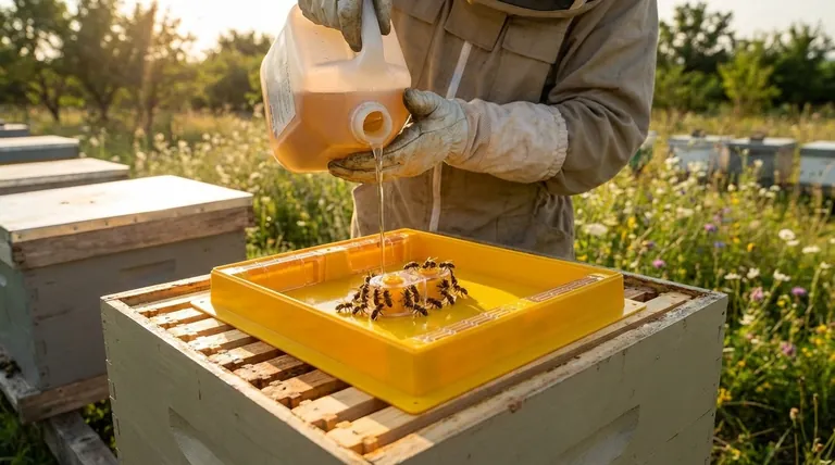 When should beekeepers feed bees using a top feeder? Strategic Feeding for Healthy, Resilient Colonies