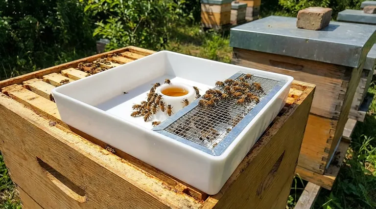 상단 급수기에는 어떤 안전 기능이 포함되어 있나요? 익사 방지 및 벌통 안전 가이드