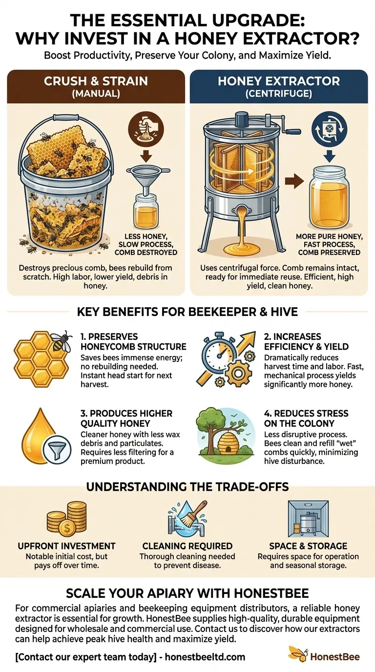 Por que investir em um extrator de mel é importante para os apicultores? Aumente a Saúde da Colmeia e o Rendimento de Mel Guia Visual