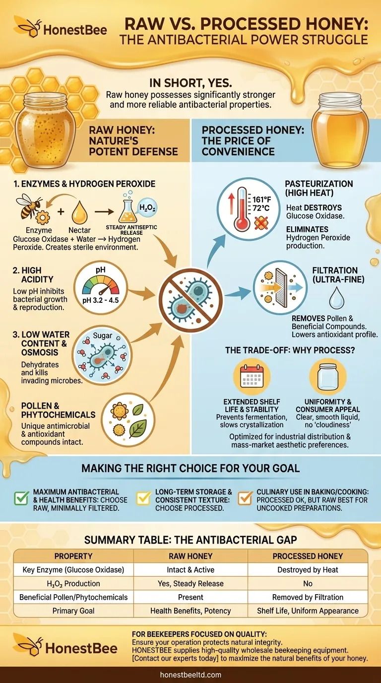 How do the antibacterial properties of raw honey compare to those of processed honey? The Raw Truth Revealed. Visual Guide