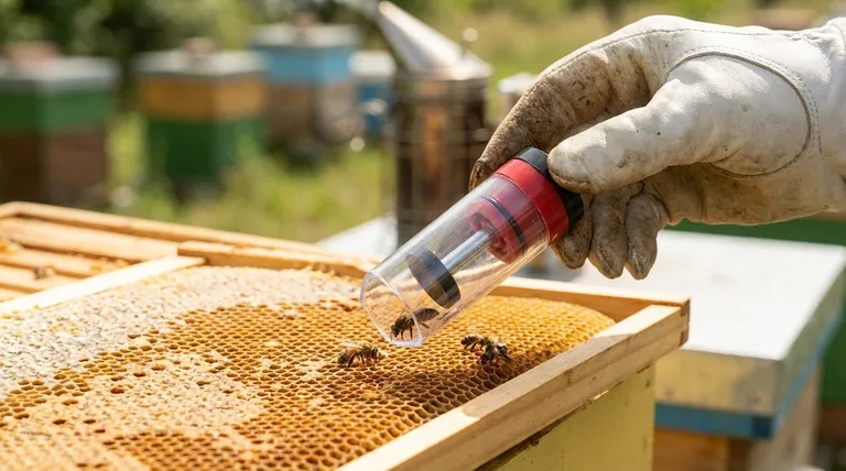 What is the purpose of a queen catcher in beekeeping? Safely Handle Your Queen Bee