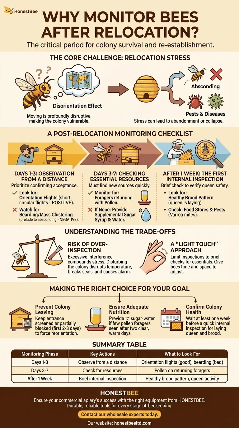 Why is it important to monitor bees after relocation? Essential Guide for Apiary Success Visual Guide
