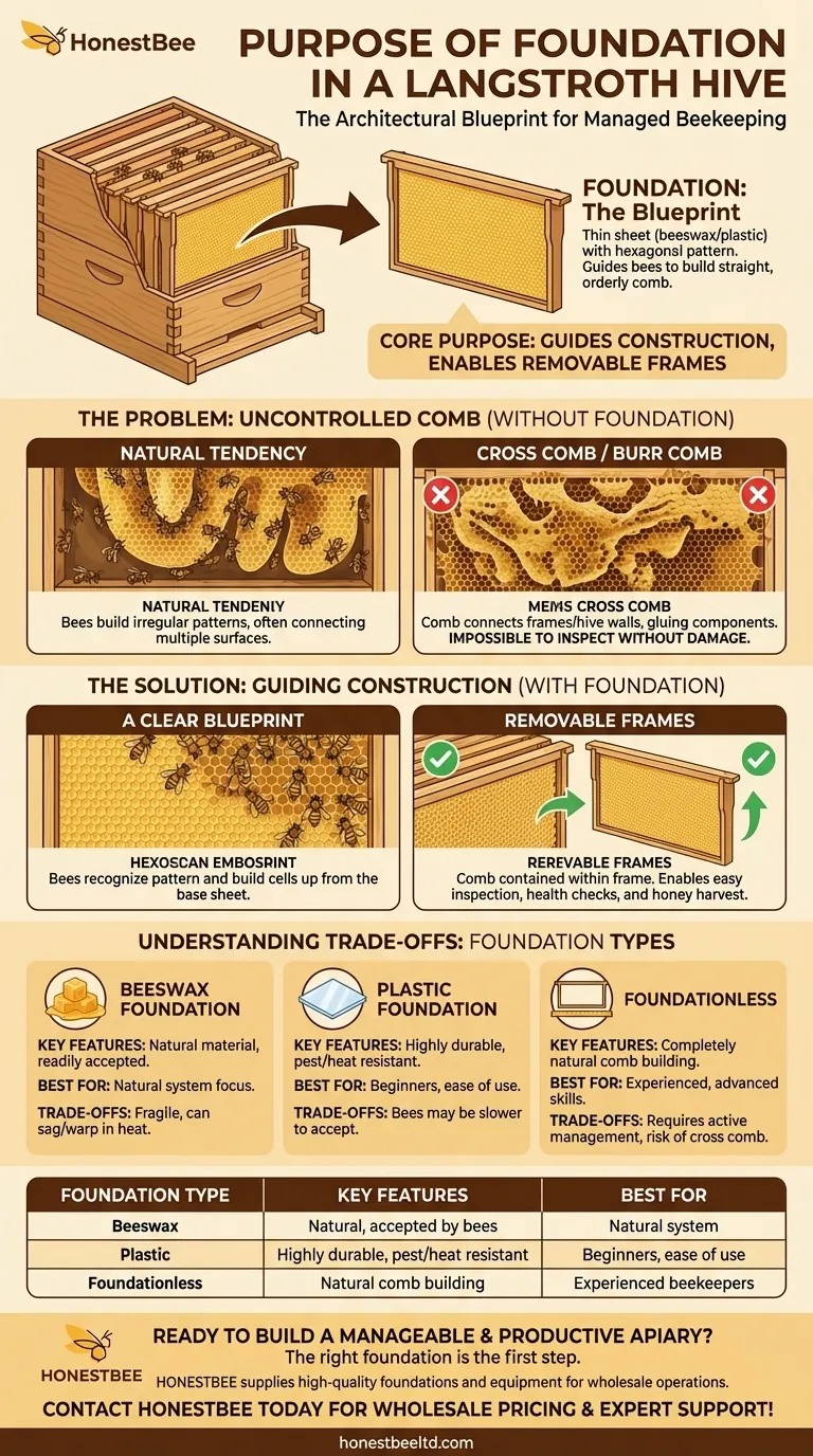 What is the purpose of the foundation in a Langstroth hive? A Guide to Straight Comb and Hive Management Visual Guide