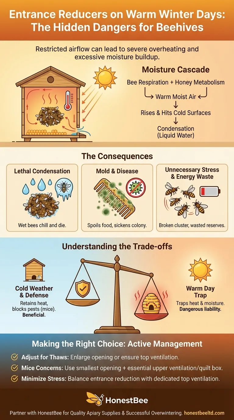 What problems can arise from using entrance reducers during warmer winter days? Avoid Overheating & Moisture Buildup Visual Guide